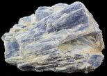 Kyanite Crystal Cluster with Quartz - Brazil #45003-1